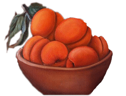 [abricots[4].png]