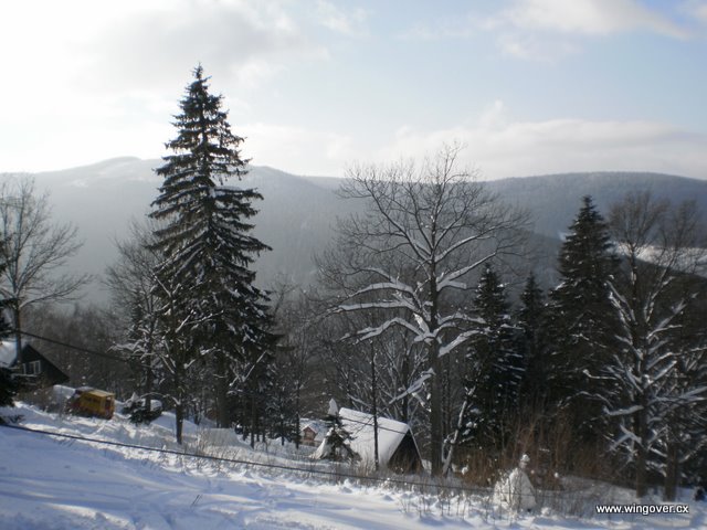 Apalucha shora od vleku