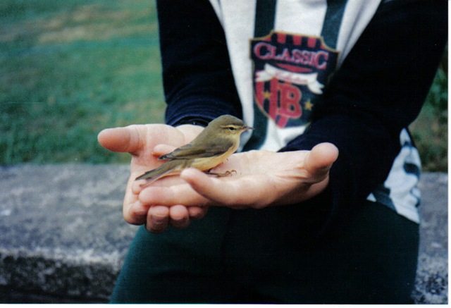 [jak holding a garden bird[2].jpg]