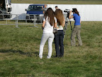 iexx photos: 5353141387315952834