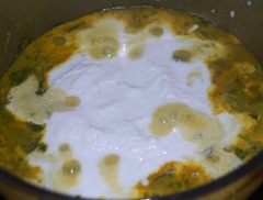 DSC_0798 DSC_0798