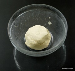 Paneer dough