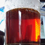 100_0330.JPG