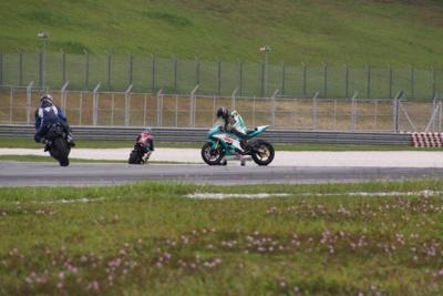 [IMG_0158_400x267[2].jpg]