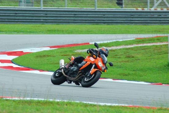 [DSC_0352_550x369[2].jpg]