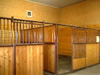 Our spacious and airy stalls in the large animal clinic accomodate our equine patients.