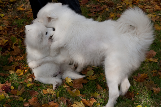 20091010-IMG_1647.jpg
