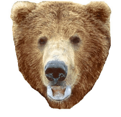 [Brown_To_Polar[4].gif]