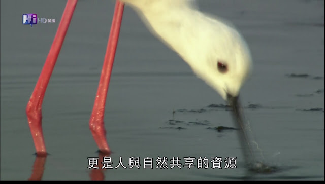 0228150120DVB-T公共電視 Hi_HD.jpg