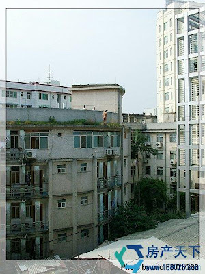 zigong2.jpg
