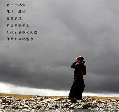 huixin.jpg