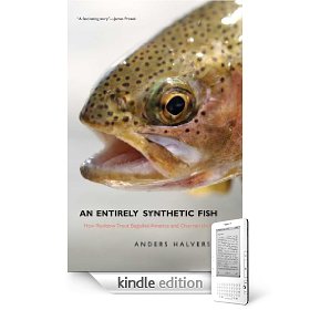 fish.jpg