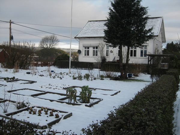 2009-01-25 Hagen (4)