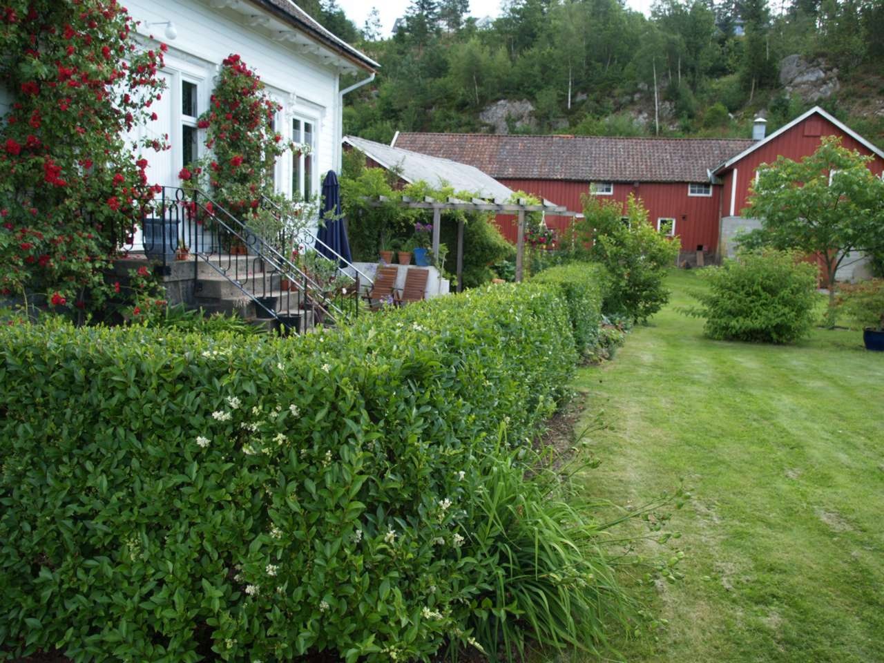 [2008-07-18 (25)[2].jpg]