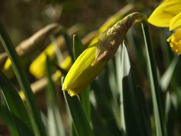 2009-04-09 (14)