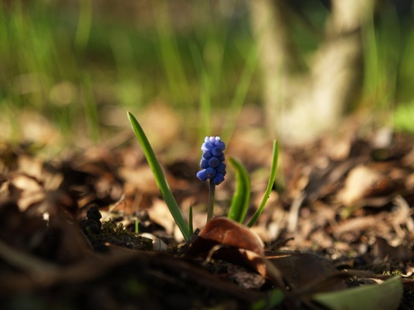 2009-04-09 (17)