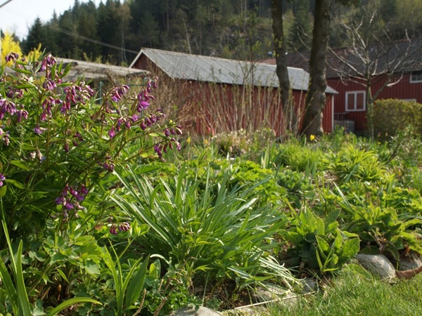 2009-04-26 (52)