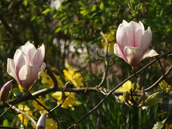 2009-04-30 April (11)