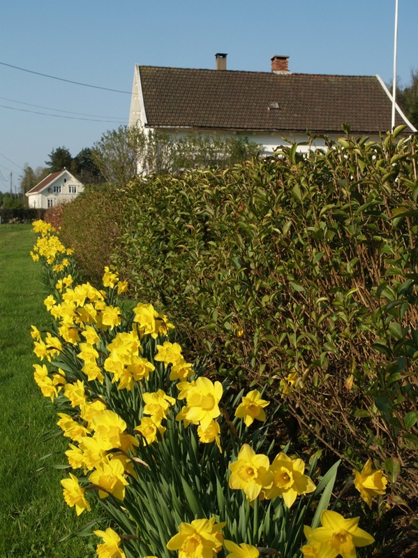 2009-04-30 April (32)