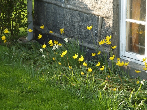 2009-04-30 April (79)