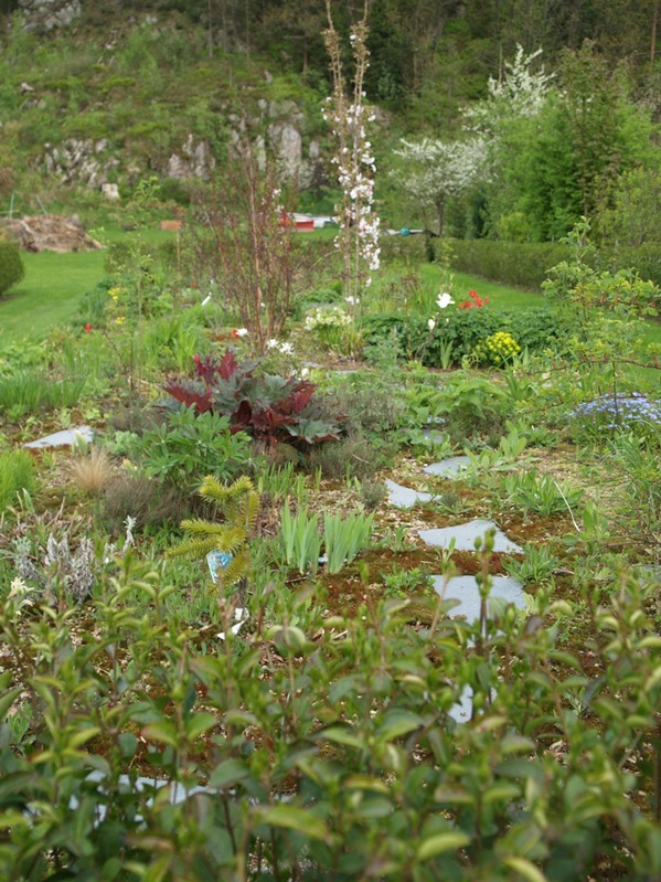 2009-05-07 Mai (71)