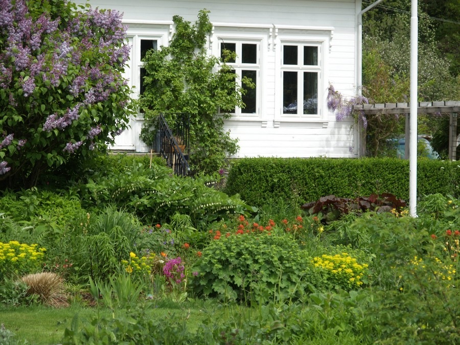 [2009-05-27 Hagen (120)[2].jpg]