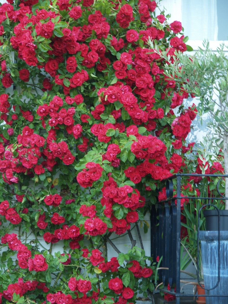 [2009-07-04 Resized (6)[2].jpg]