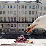 100_6060.JPG