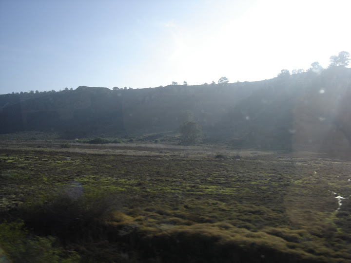 Area behind the Torry Pines Bluffs