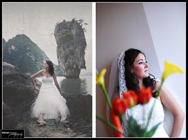 Siesser Photography Ann Arbor Wedding