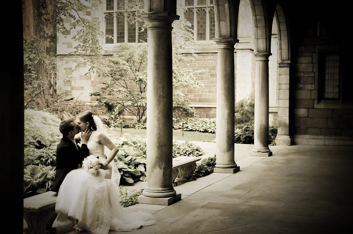 Amanda Williams Photography