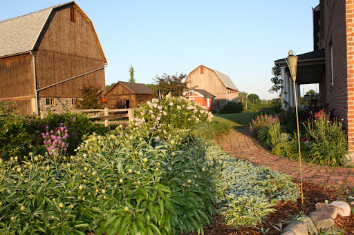 Misty Farm wedding Ann Arbor