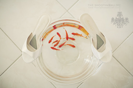 The Shooting Gallery