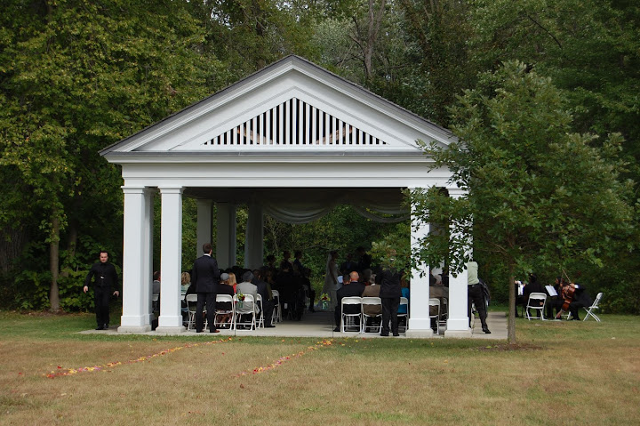 Sharon Mills Manchester, MI wedding