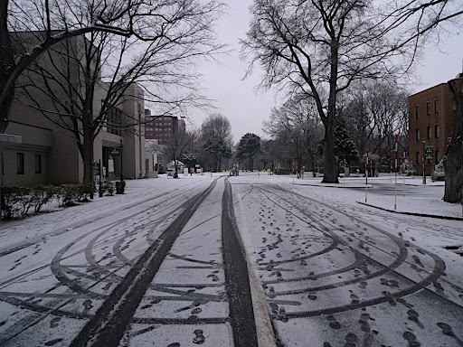 P1040967.JPG