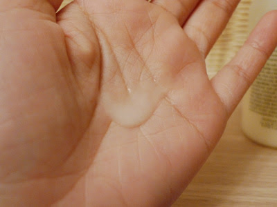 P1000645.JPG