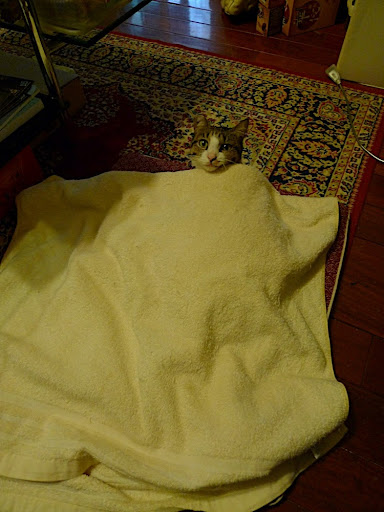 P1030213.JPG