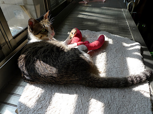 P1030287.JPG
