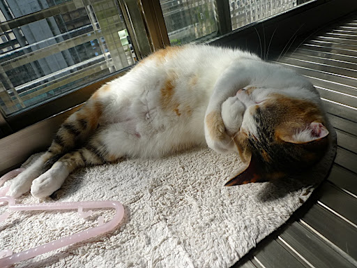 P1050303.JPG