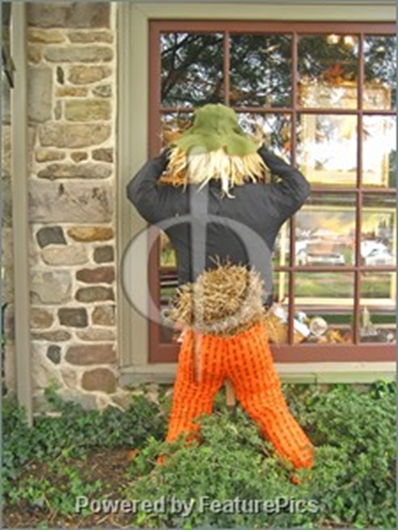 [Peeping-Scarecrow-139396[5].jpg]