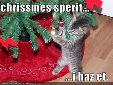[funny-pictures-little-kitten-has-christmas-spirit[4].jpg]