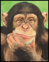 chimpanzee_thinking_poster