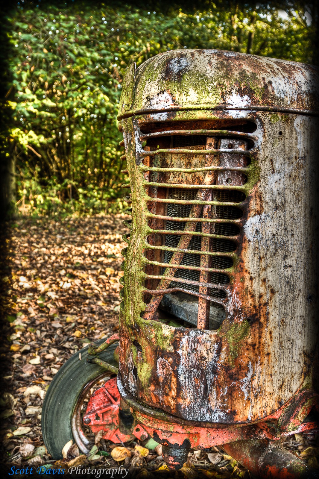 [SDP-20101016-130HDR[4].jpg]