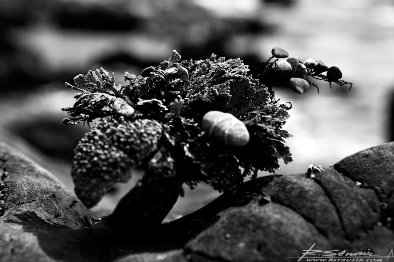 IMG_4498.jpg