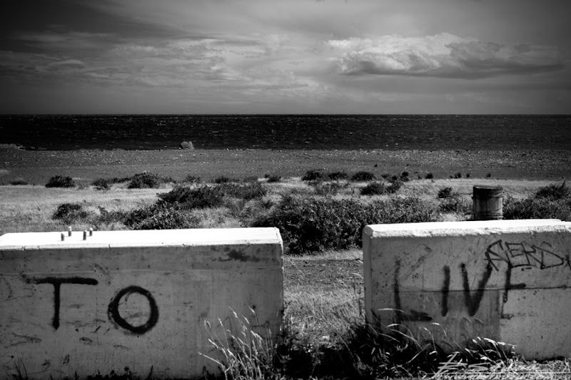 IMG_5242_BW.jpg
