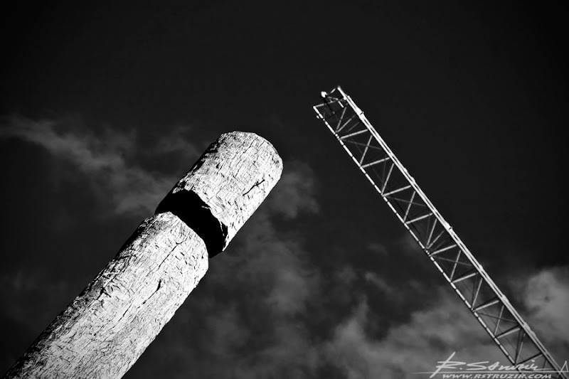IMG_5998.jpg