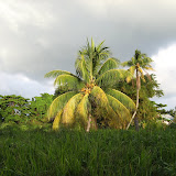 IMG_3605.JPG