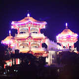 IMG_8883.JPG