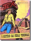 T041