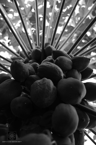 [B&W22[4].jpg]